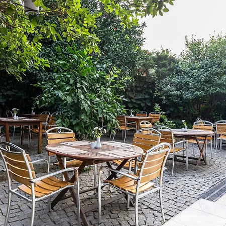 엘리트 드라고스