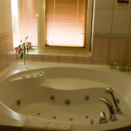 Hotel Elite Dragos